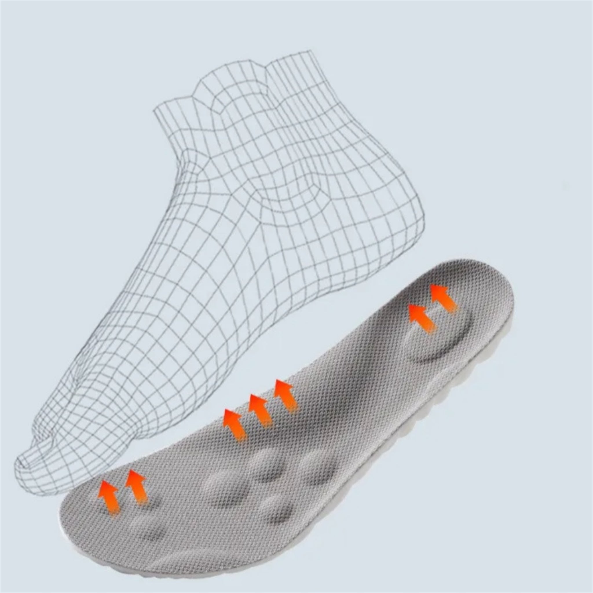 Anatomics ~ Foot Sole 4D